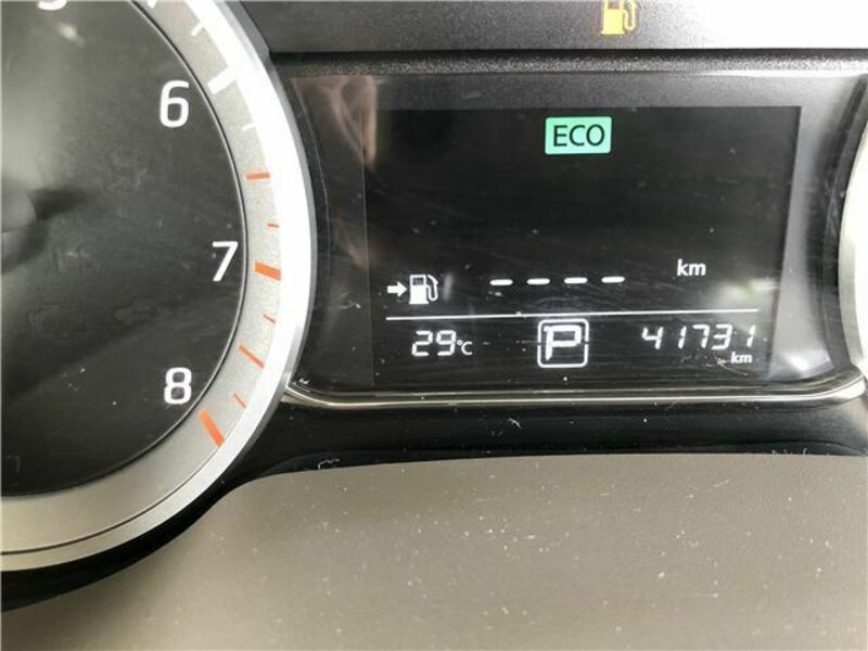 BLUEBIRD SYLPHY