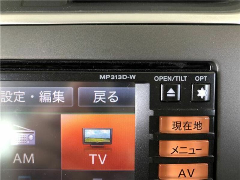 BLUEBIRD SYLPHY