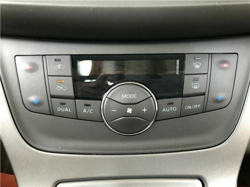 BLUEBIRD SYLPHY