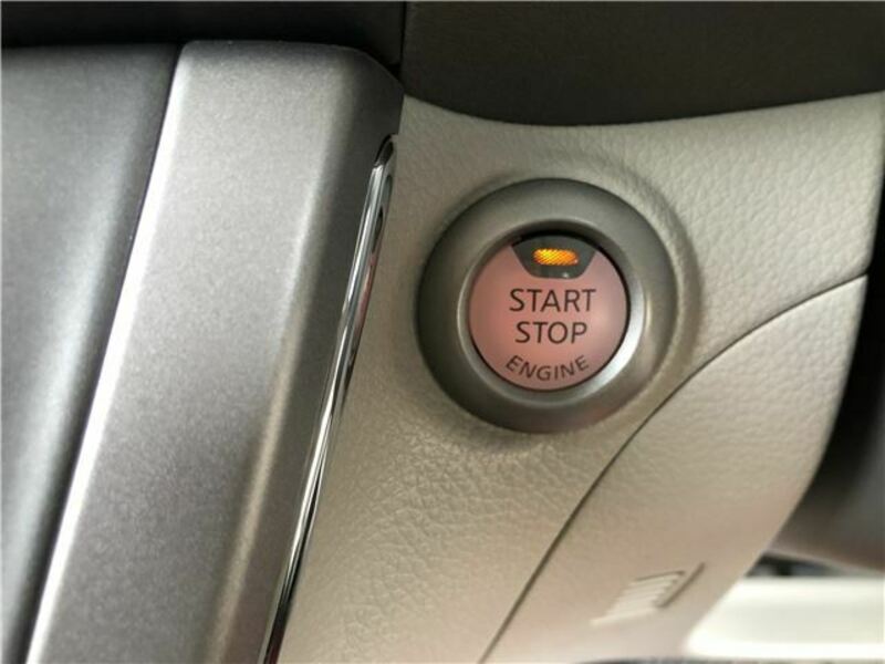 BLUEBIRD SYLPHY