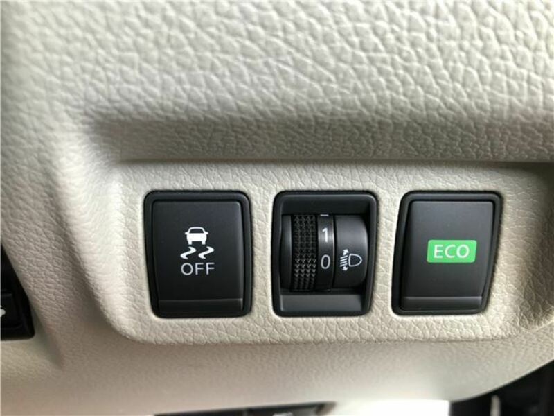 BLUEBIRD SYLPHY