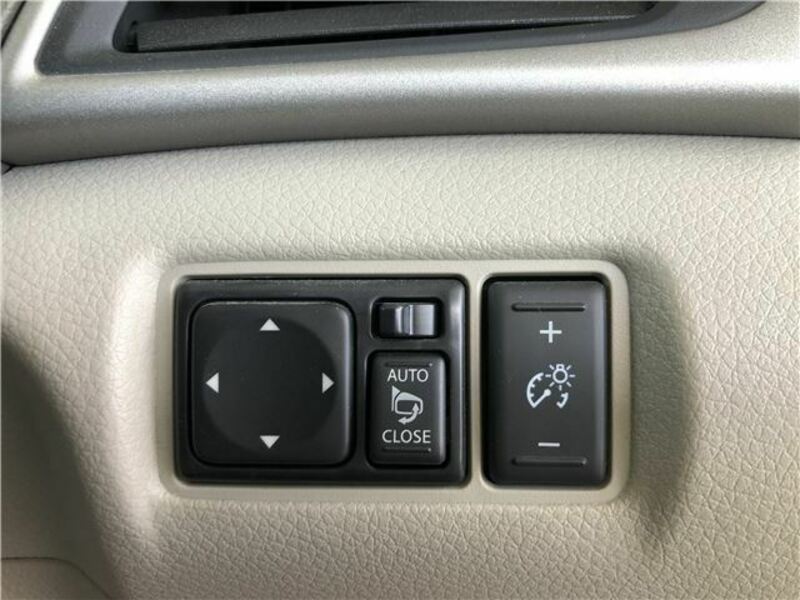 BLUEBIRD SYLPHY