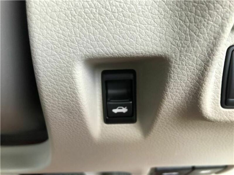 BLUEBIRD SYLPHY