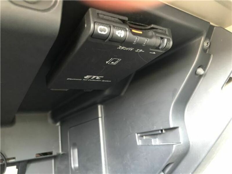 BLUEBIRD SYLPHY