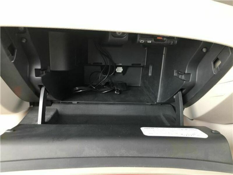 BLUEBIRD SYLPHY