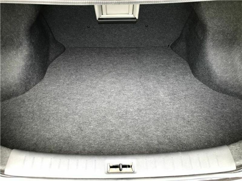 BLUEBIRD SYLPHY