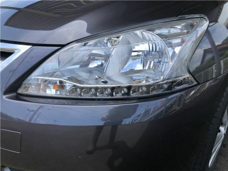 BLUEBIRD SYLPHY
