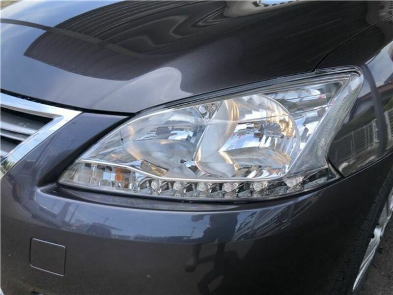 BLUEBIRD SYLPHY
