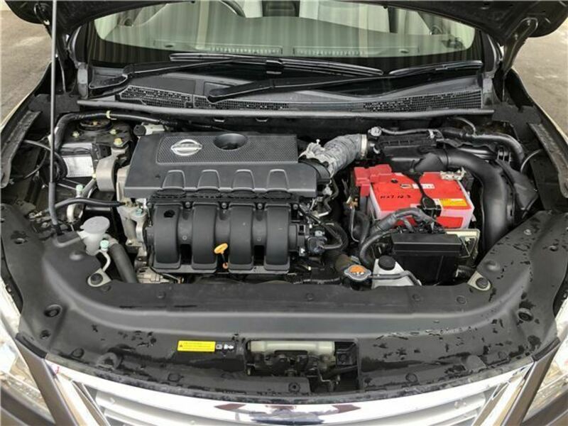 BLUEBIRD SYLPHY