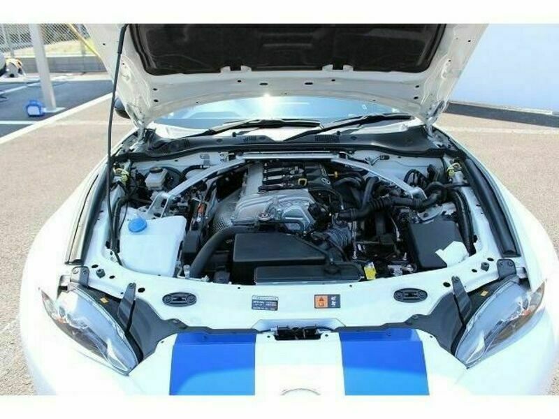 ROADSTER RF