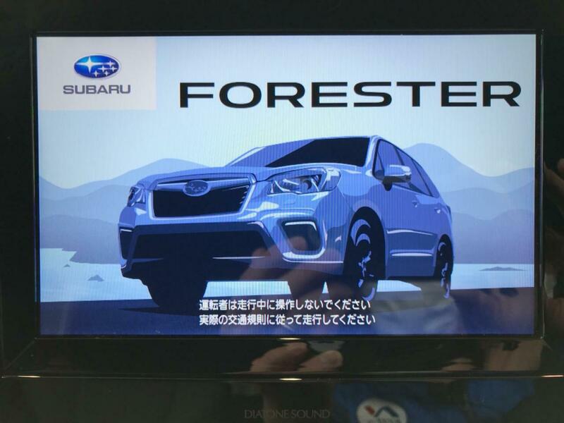 FORESTER