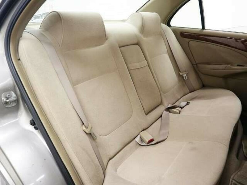 BLUEBIRD SYLPHY
