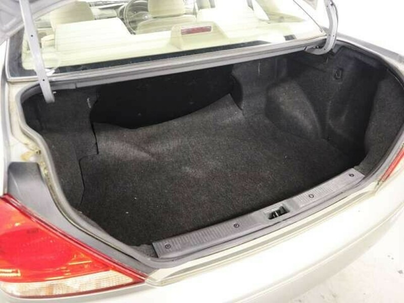 BLUEBIRD SYLPHY