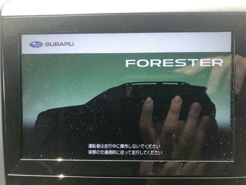 FORESTER