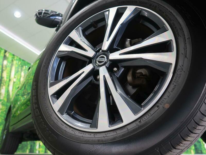 X-TRAIL-9