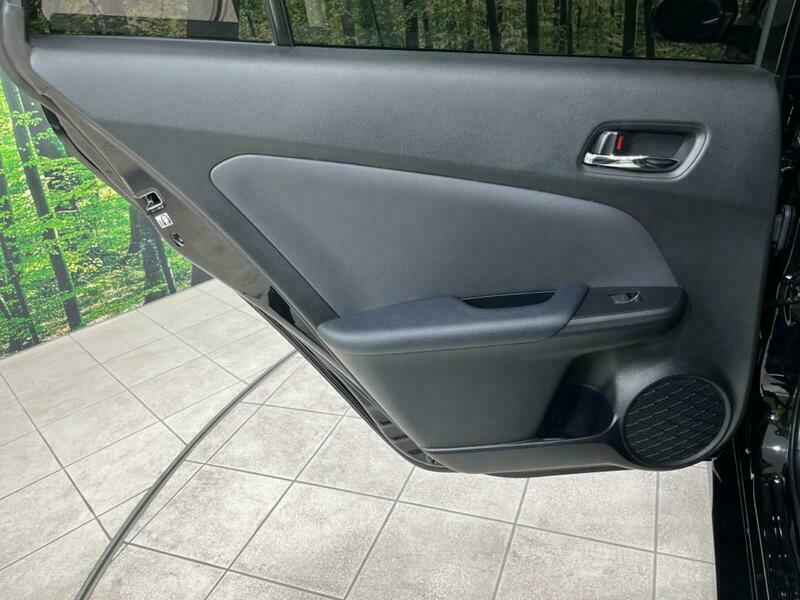 PRIUS-21