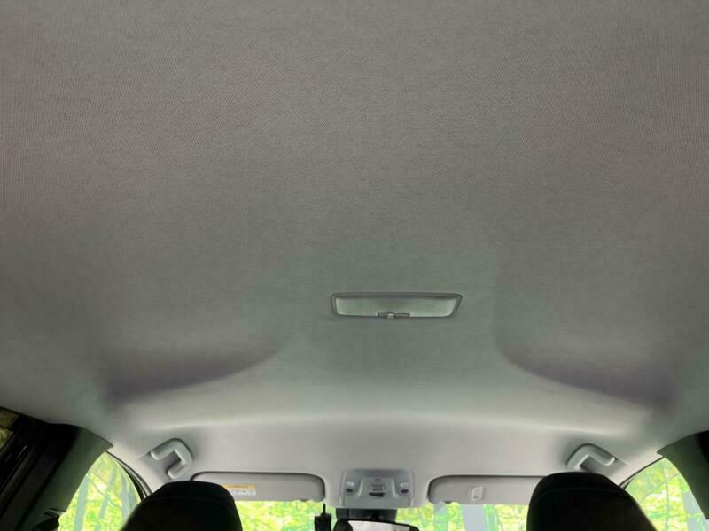 PRIUS-13