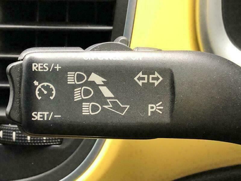 THE BEETLE