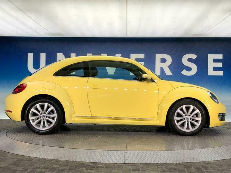 THE BEETLE