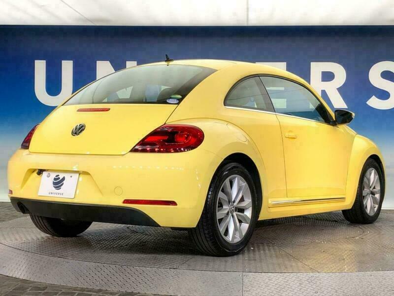 THE BEETLE