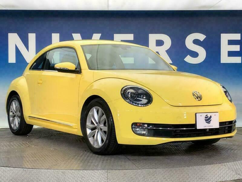 THE BEETLE