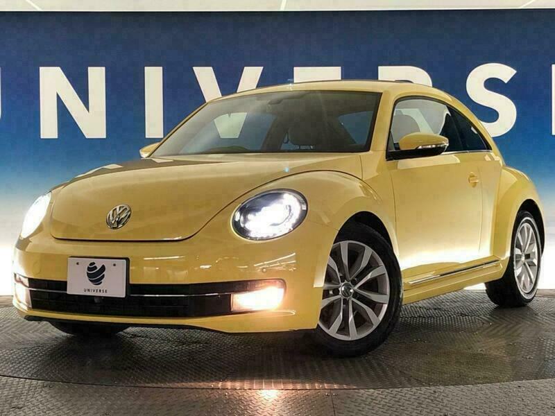 THE BEETLE