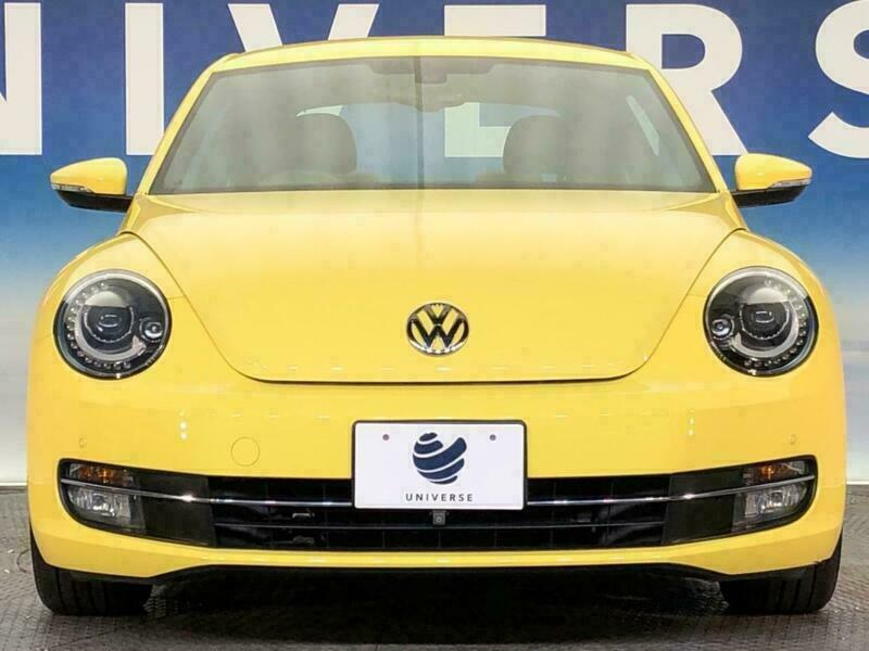 THE BEETLE