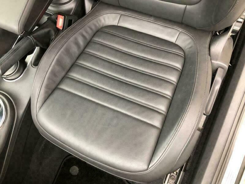 THE BEETLE