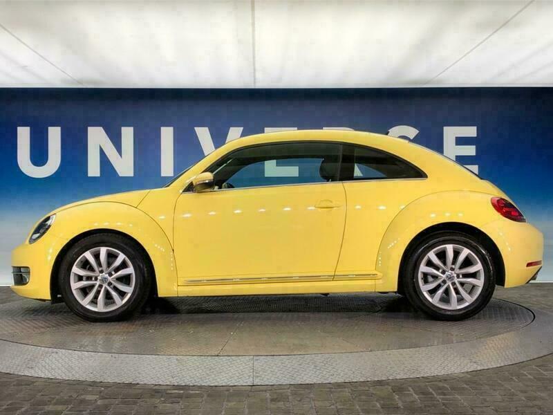 THE BEETLE
