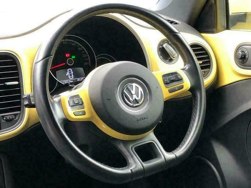 THE BEETLE