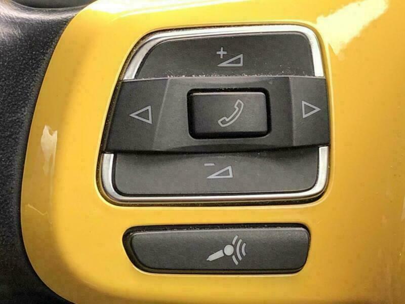 THE BEETLE