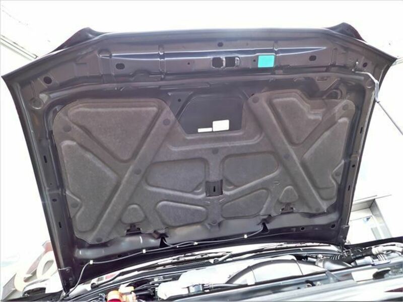 TERRANO
