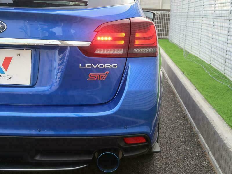 LEVORG