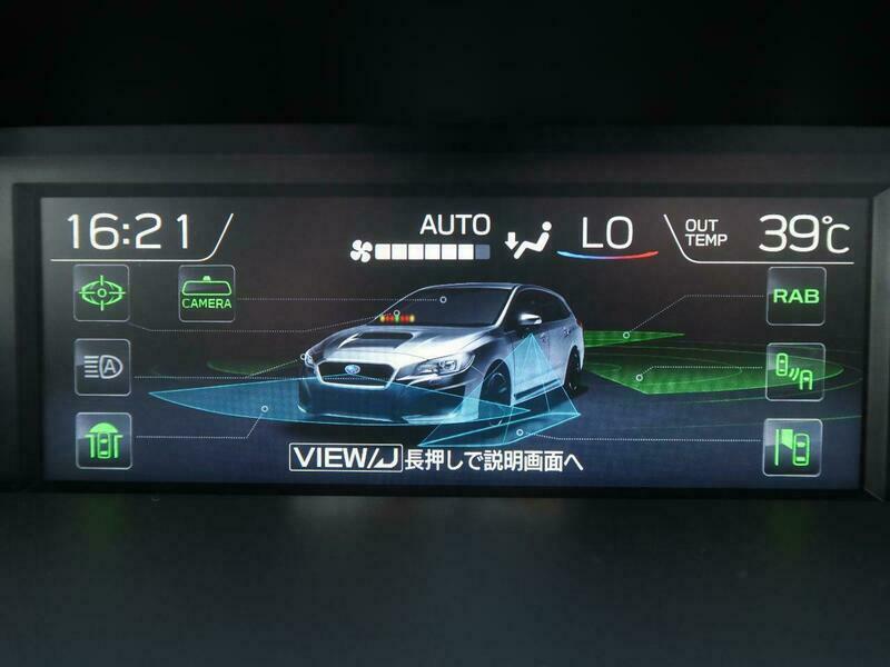 LEVORG
