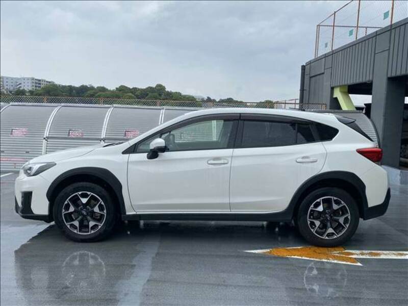 XV