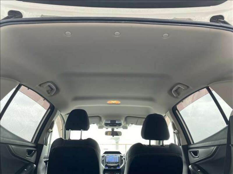 XV