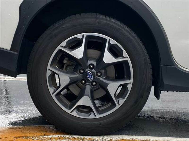 XV
