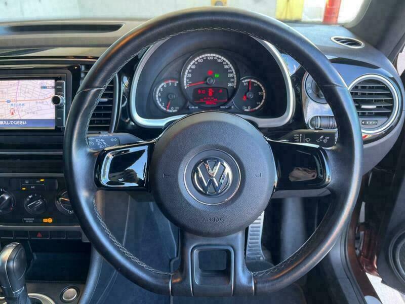 THE BEETLE
