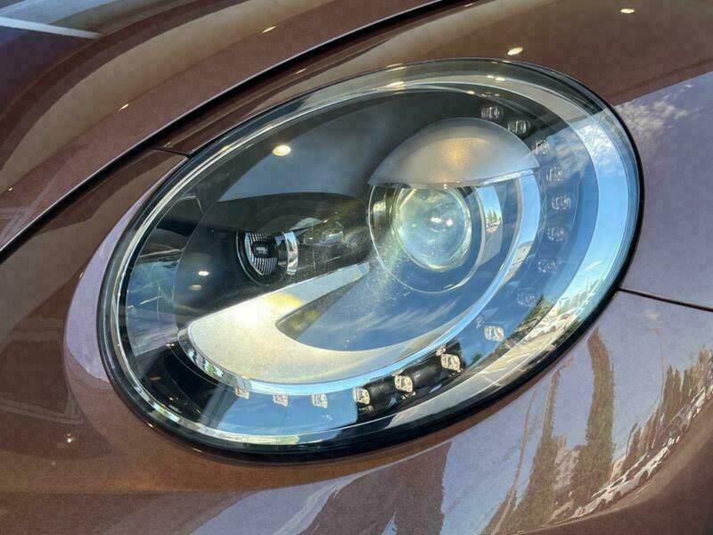 THE BEETLE