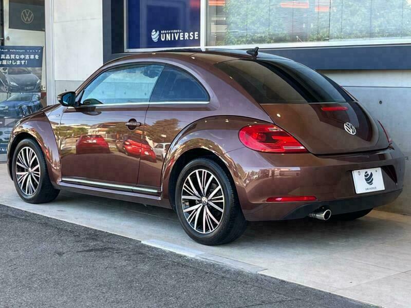 THE BEETLE