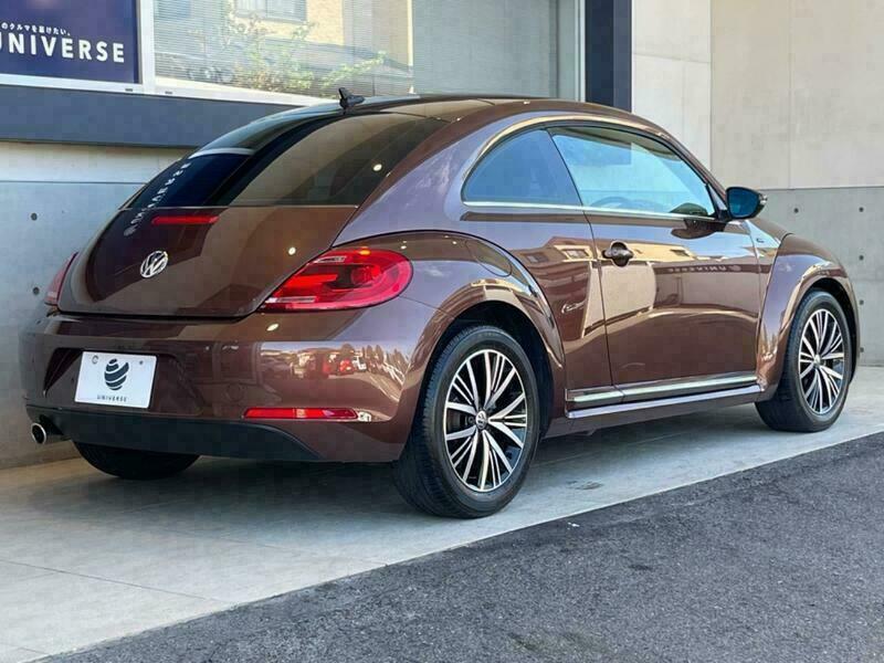 THE BEETLE