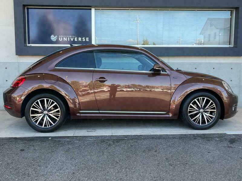 THE BEETLE