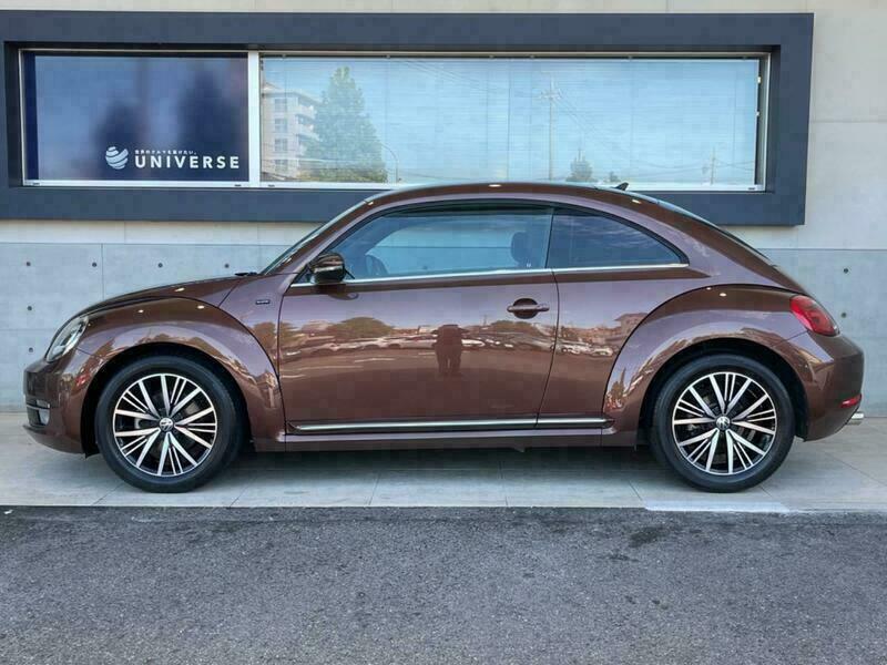 THE BEETLE