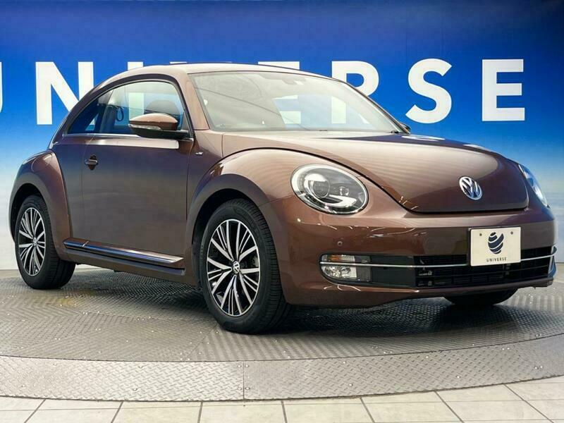 THE BEETLE