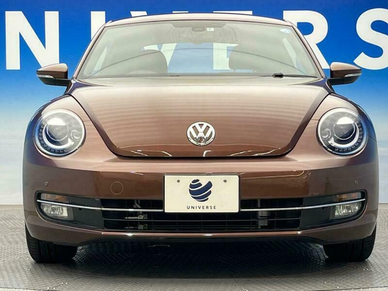 THE BEETLE