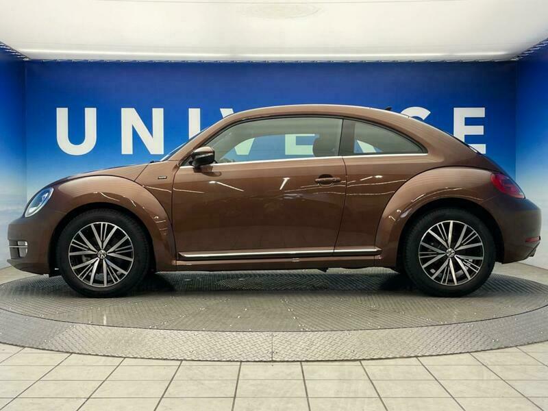 THE BEETLE