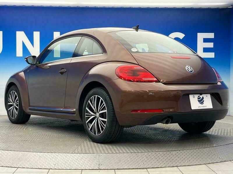 THE BEETLE