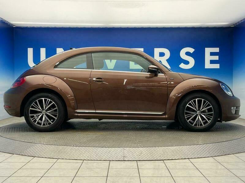 THE BEETLE