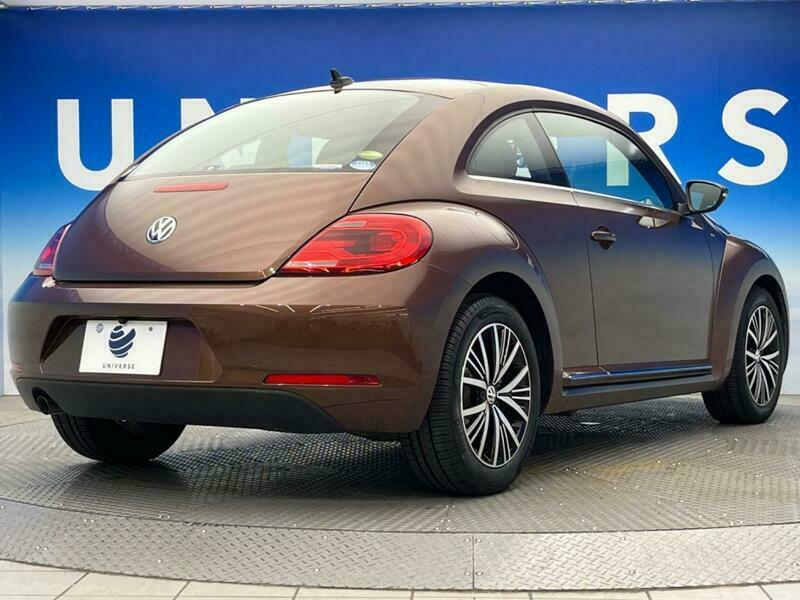 THE BEETLE