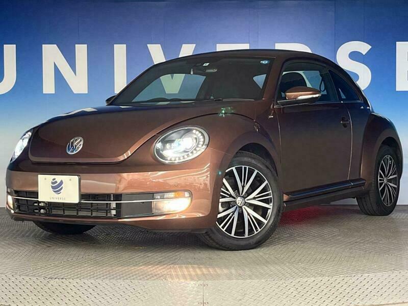 THE BEETLE